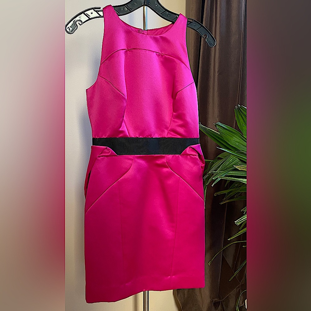 MILLY Fuschia Dress - Size 0